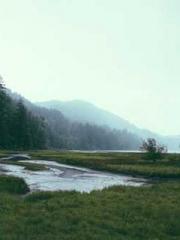 The Undefeated Son-i The Undefeated Son-i