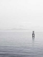 lt;lt;lt;Cultivation lt;lt;lt;Cultivation