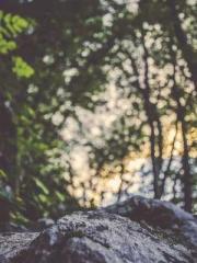 My whole family eave