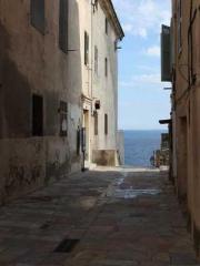 Double Blessing: CEO