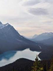 Bodhisattva of Compa Bodhisattva of Compa