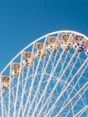 Awakening of the Mas