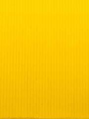 The Beloved Physicia The Beloved Physicia