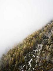 The Poisonous Doctor