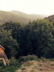 The Stand-in Wife Wa