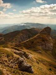 Hundreds of millions Hundreds of millions